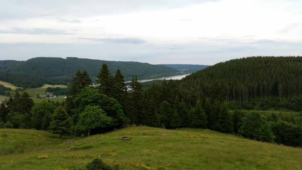 Apartment Im Schwarzwaldhaus Schluchsee Kültér fotó