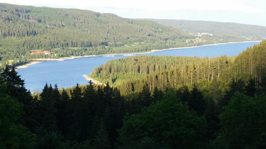 Apartment Im Schwarzwaldhaus Schluchsee Kültér fotó